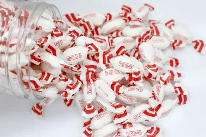 Sugar Free Mintoes